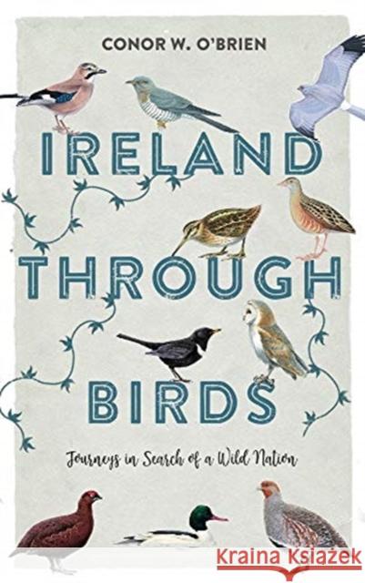 Ireland Through Birds: Journeys in Search of a Wild Nation O'Brien, Conor 9781785373053