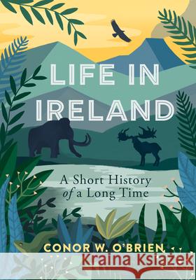 Life in Ireland: A Short History of a Long Time Conor W. O'Brien 9781785373848