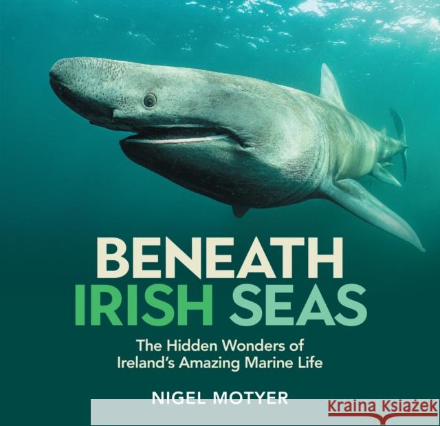 Beneath Irish Seas: The Hidden Wonders of Ireland’s Amazing Marine Life Nigel Motyer 9781785375705 Irish Academic Press Ltd