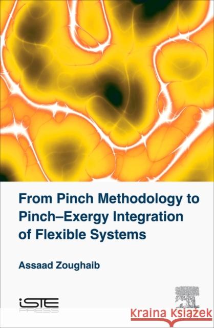 From Pinch Methodology to Pinch-Exergy Integration of Flexible Systems Assaad Zoughaib 9781785481949 Iste Press - Elsevier
