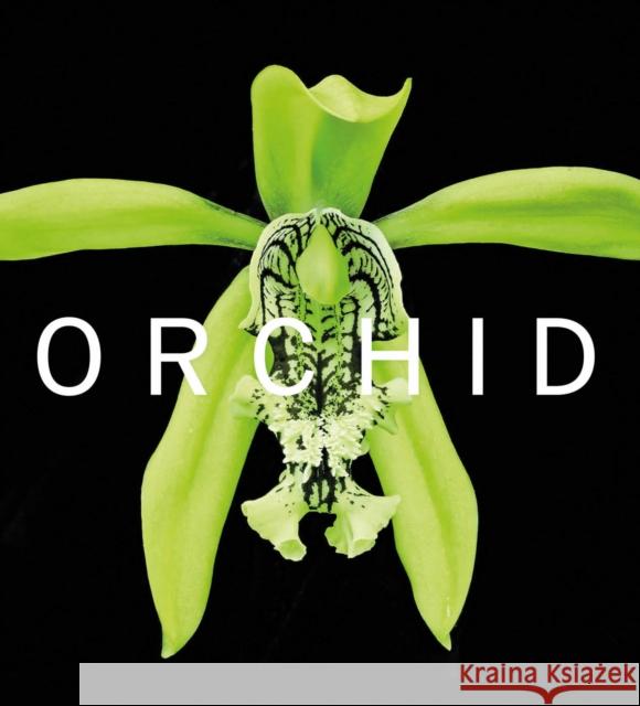ORCHID: Marie Selby Botanical Gardens David A. Berry 9781785514432 Scala Arts & Heritage Publishers Ltd