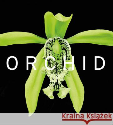 ORCHID: Marie Selby Botanical Gardens David A. Berry 9781785514432 Scala Arts & Heritage Publishers Ltd