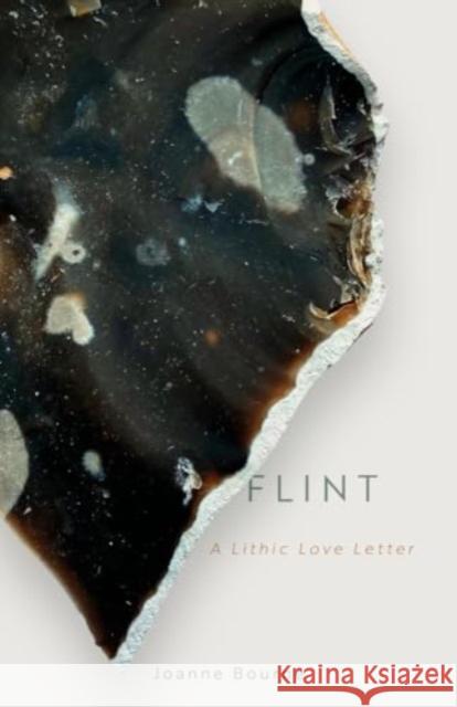 Flint: A lithic love letter Joanne Bourne 9781785634086