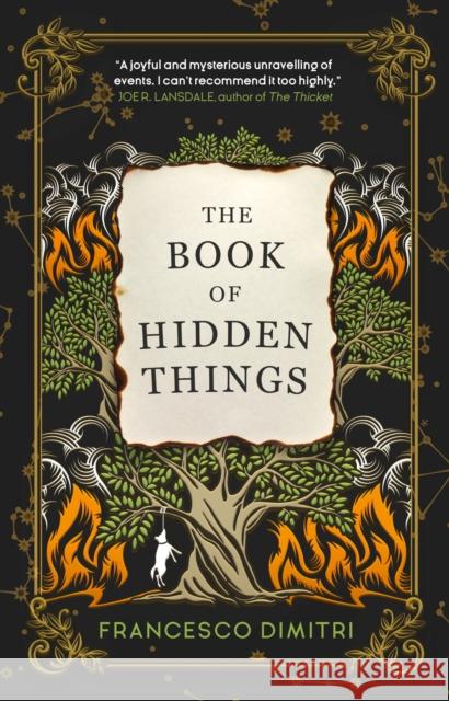 The Book of Hidden Things Francesco Dimitri 9781785657078 Titan Books Ltd