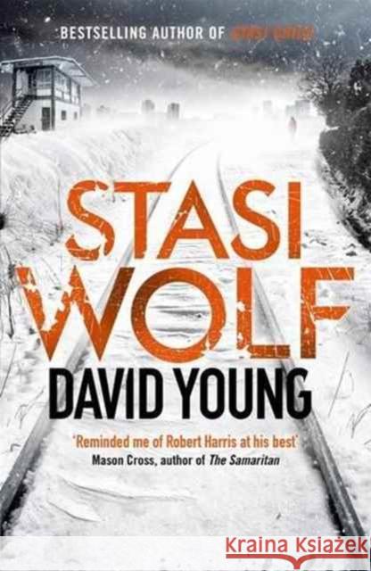 Stasi Wolf: A Gripping New Thriller for Fans of Child 44 David Young 9781785760686