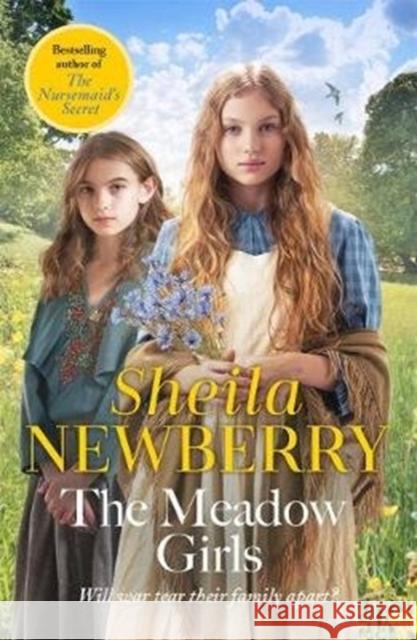 The Meadow Girls: A heartwarming World War I saga Sheila Newberry 9781785761904