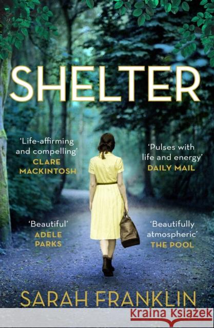 Shelter: ‘One of the year's hottest debuts’ Sarah Franklin 9781785762826