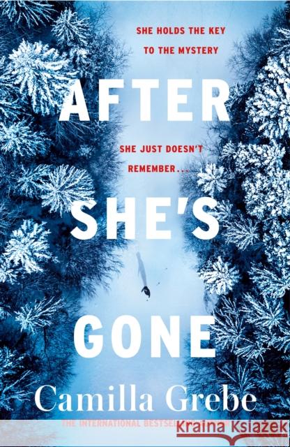 After She's Gone Camilla Grebe   9781785764738