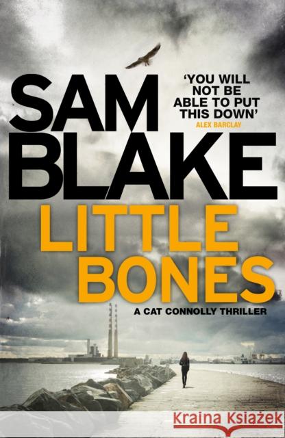 Little Bones: A disturbing Irish crime thriller Blake, Sam 9781785770258