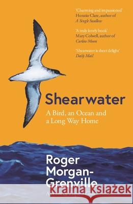 Shearwater: A Bird, an Ocean, and a Long Way Home Roger Morgan-Grenville 9781785788598 Icon Books