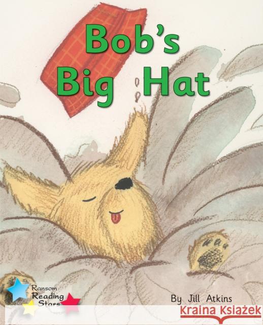 Bob and the Hat: Phonics Phase 2 Atkins Jill 9781785918063