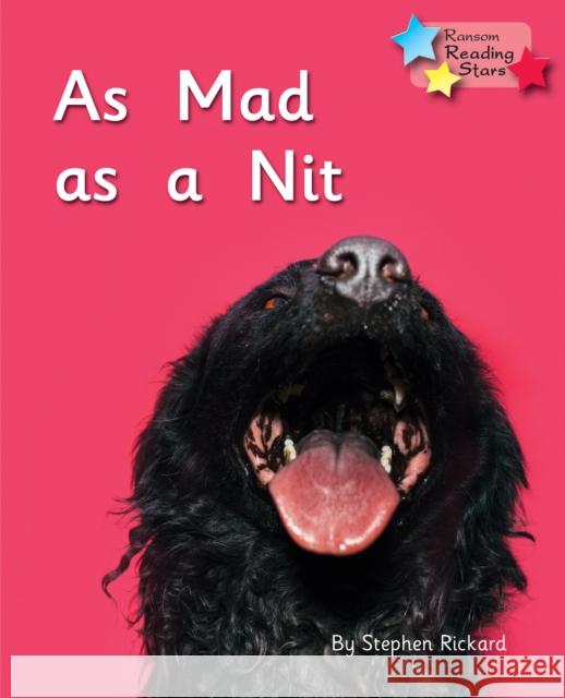 As Mad as a Nit: Phonics Phase 2 Rickard Stephen 9781785918544
