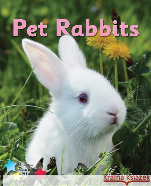 Pet Rabbits: Phonics Phase 3 Jones Cath 9781785919077