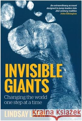 Invisible Giants: Changing the World One Step at a Time Lindsay Levin 9781785927409 Jessica Kingsley Publishers