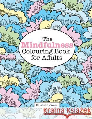 The MINDFULNESS Colouring Book for Adults James, Elizabeth 9781785950933 Kyle Craig Publishing