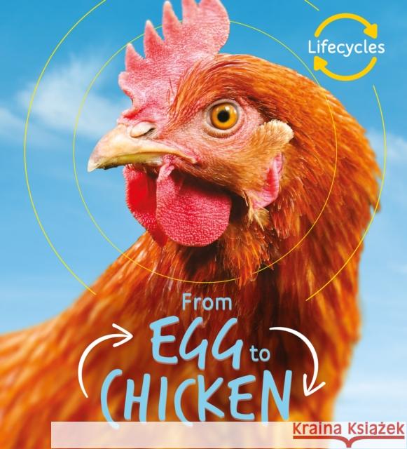 Lifecycles: Egg to Chicken Camilla de la Bedoyere 9781786036179