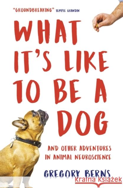 What It's Like to Be a Dog: And Other Adventures in Animal Neuroscience Gregory Berns 9781786074898 Oneworld Publications