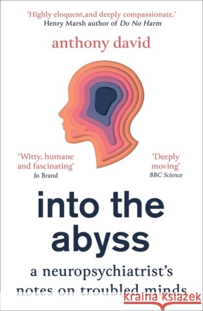 Into the Abyss: A neuropsychiatrist's notes on troubled minds Prof. Anthony David 9781786079312 Oneworld Publications
