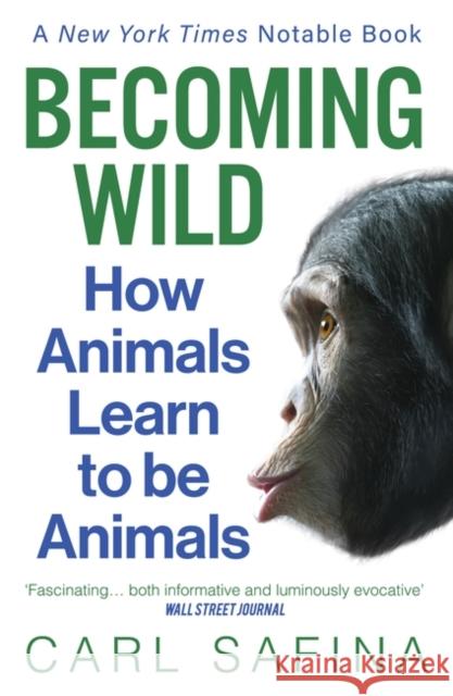 Becoming Wild: How Animals Learn to be Animals Carl Safina 9781786079633 Oneworld Publications