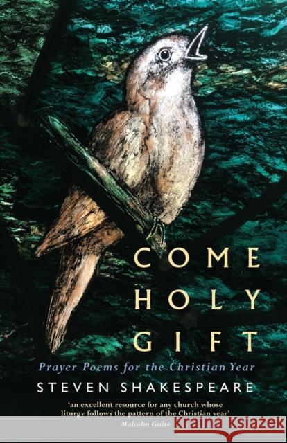 Come Holy Gift: Prayer Poems for the Christian Year Steven Shakespeare 9781786224125