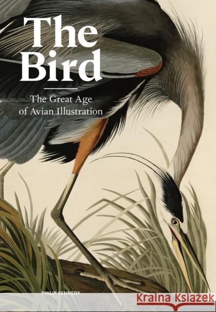 The Bird: The Great Age of Avian Illustration Philip Kennedy 9781786277312
