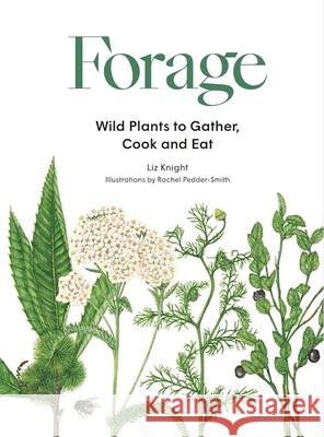 Forage: Wild plants to gather and eat Liz Knight 9781786277350 Orion Publishing Co