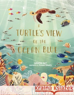 A Turtle's View of the Ocean Blue Catherine Barr 9781786279095 Hachette Children's Group