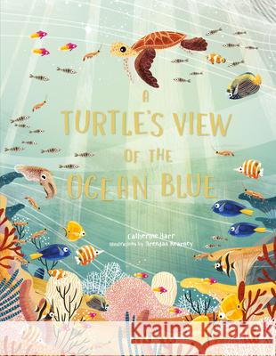 A Turtle's View of the Ocean Blue Catherine Barr Brendan Kearney 9781786279101 Laurence King