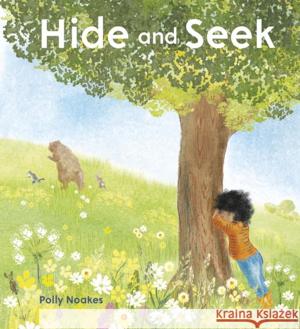 Hide and Seek Polly Noakes Polly Noakes 9781786281814 Child's Play International