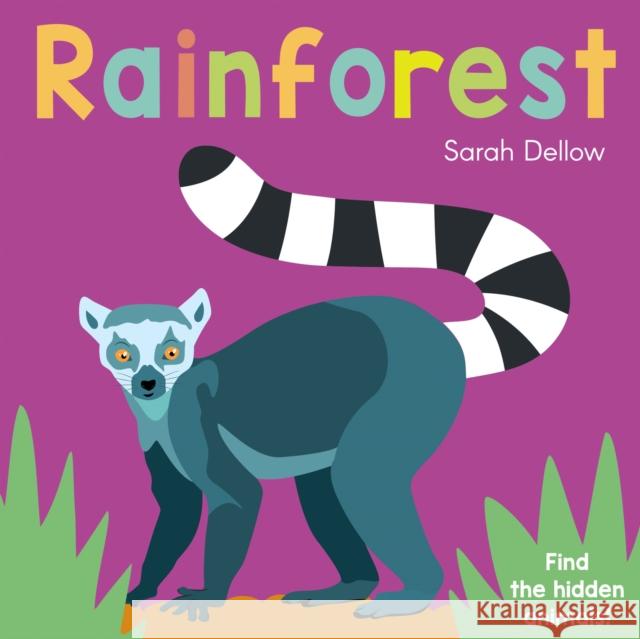 Now you See It! Rainforest Sarah Dellow 9781786285843 Child's Play International Ltd