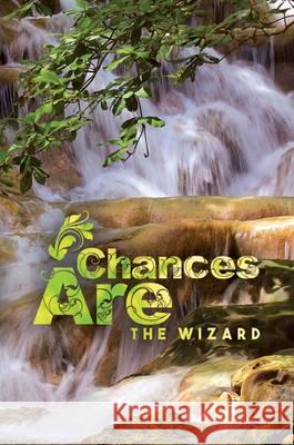 Chances are The Wizard 9781786290861 Austin Macauley Publishers