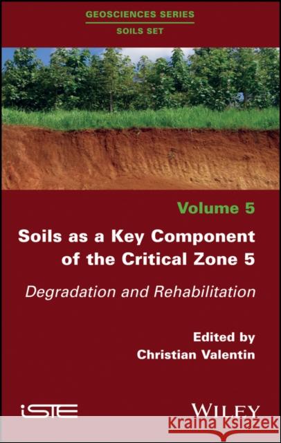 Soils as a Key Component of the Critical Zone 5: Degradation and Rehabilitation Valentin, Christian 9781786302199 Wiley-Iste