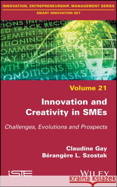 Innovation and Creativity in Smes: Challenges, Evolutions and Prospects Claudine Gay Berangere Szostak 9781786303172 Wiley-Iste