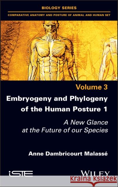Embryogeny and Phylogeny of the Human Posture 1: A New Glance at the Future of Our Species Anne Dambricour 9781786306067 Wiley-Iste
