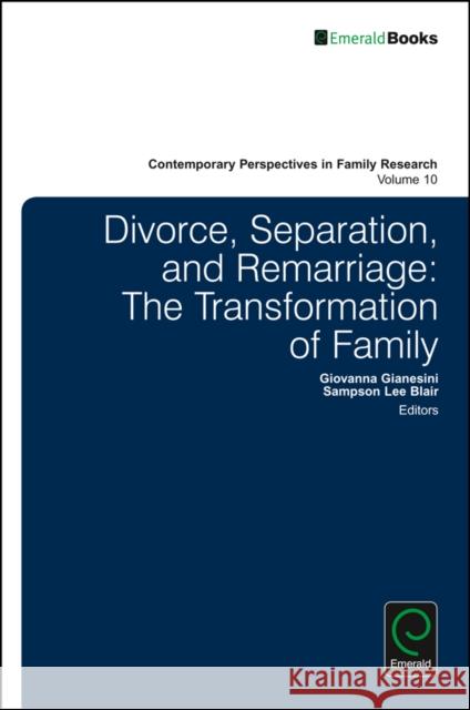 Divorce, Separation, and Remarriage: The Transformation of Family Gianesini, Giovanna 9781786352309 Emerald Group Publishing