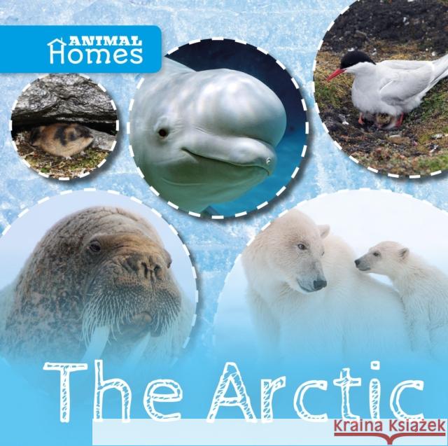 The Arctic John Wood 9781786371362