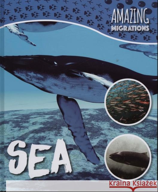 Sea Brundle, Harriet 9781786372222 BookLife Publishing