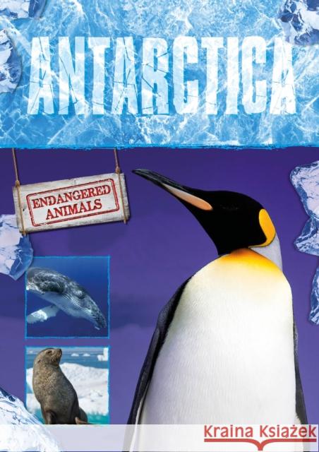 Antarctica Jones, Grace 9781786372437