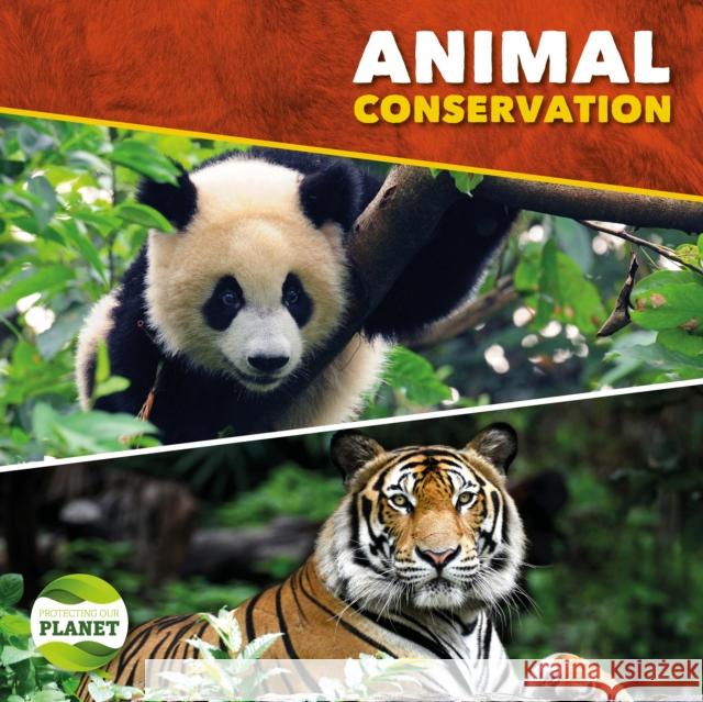 Animal Conservation Brundle, Harriet 9781786372598