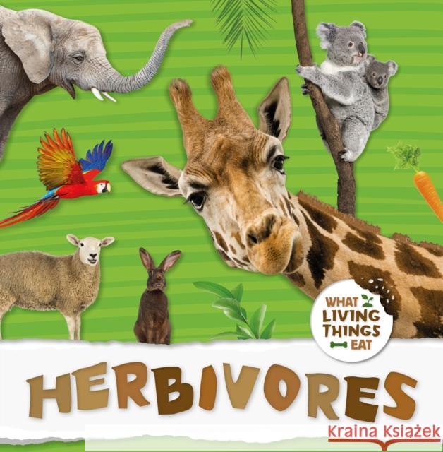 Herbivores Robin Twiddy   9781786374653 BookLife Publishing