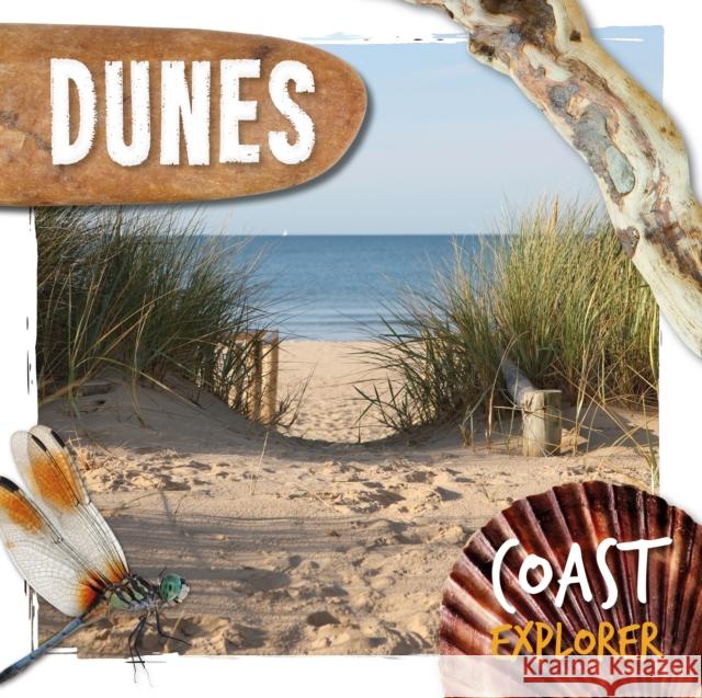 Dunes Robin Twiddy 9781786379900