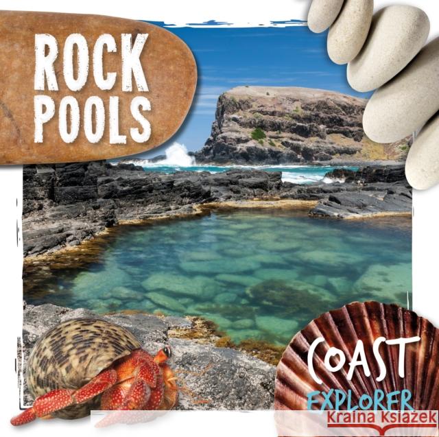 Rock Pools Robin Twiddy 9781786379917