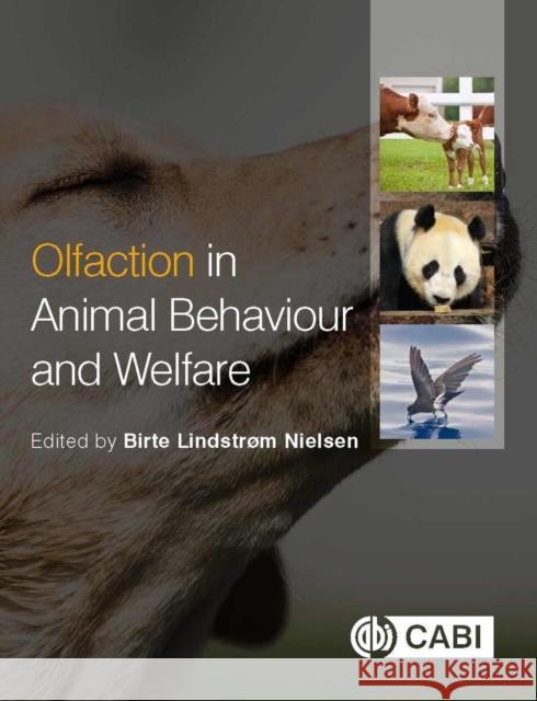 Olfaction in Animal Behaviour and Welfare B. L. Nielsen 9781786391599 CABI Publishing