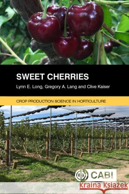 Sweet Cherries Lynn Long 9781786398284 CABI Publishing