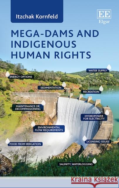 Mega-Dams and Indigenous Human Rights Itzchak Kornfeld   9781786435484 