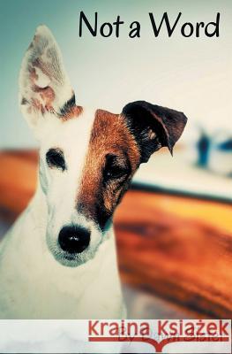 Not a Word Dawn Sister 9781786452658