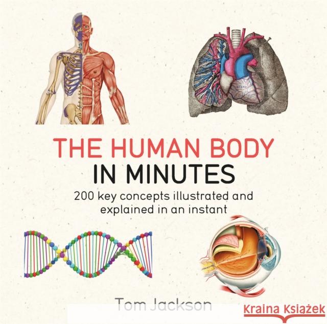 The Human Body in Minutes Jackson Tom 9781786481238 Quercus Publishing