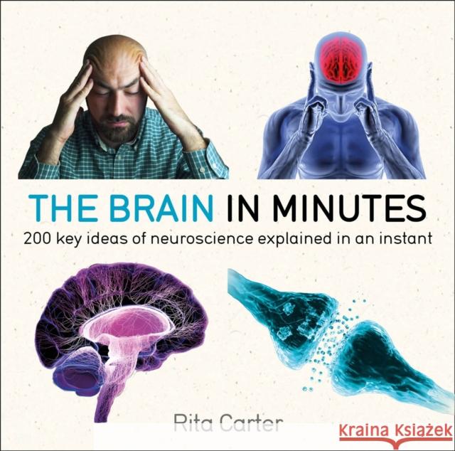 The Brain in Minutes Rita Carter 9781786485793