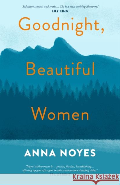 Goodnight, Beautiful Women A Powerful Collection of Short Stories About the Women of a Small Town in Maine Noyes, Anna 9781786490414