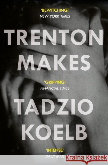Trenton Makes Tadzio Koelb 9781786494078 Atlantic Books